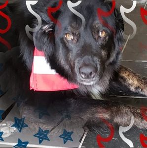 Meet your Posher, Paul